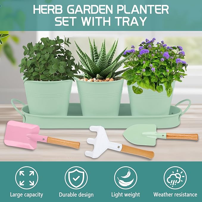 Indoor Herb Garden Set of 3 with Tray and 3 Types of Gardening Tools, Metal Plant Pots Herb Garden Planter Kit with Drainage for Plants (Green)