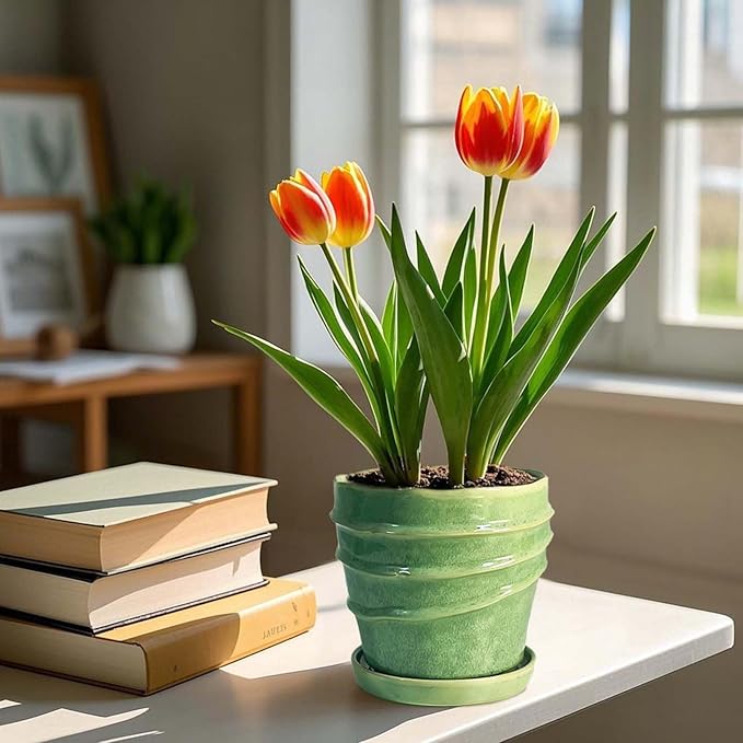 6in Plant Pot, Ceramic Planter, Plant Pots Indoor, Plant Pots with Drainage Holes and Saucers, Flower Pots for Indoor Plants, Bright Green