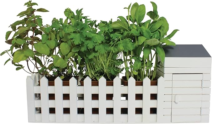Oliphant Indoor Allotment Gift Set Herb Garden