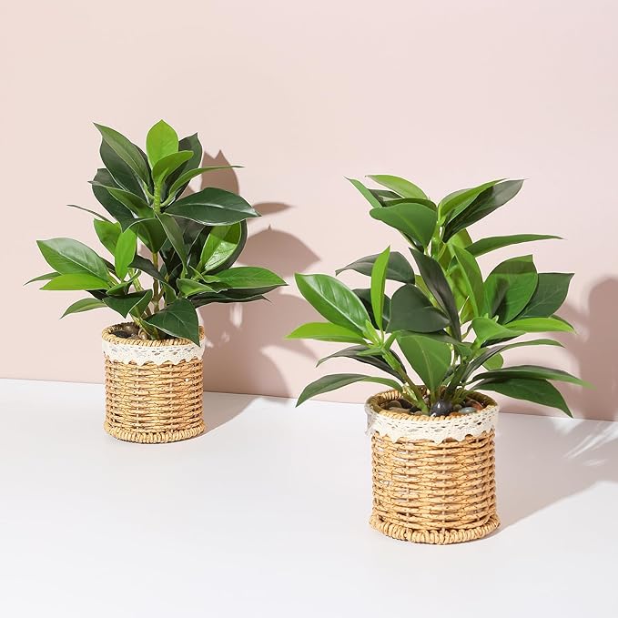 Nubry 2 Pack Fake Plants Artificial Potted Plants with Weaved Pot for Shelf & Table Desk | Perfect for Home Office Bathroom Farmhouse Room Coffee Table Decor 10‘’
