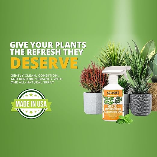 Plant Wash Spray – Neem Oil & Peppermint Oil Formula – Cleans & ConditionsLeaves, Removes Dust & Residue – Indoor & Outdoor Plant Care, Leaf Cleaner for Healthy, Vibrant Foliage Ready to use Spray