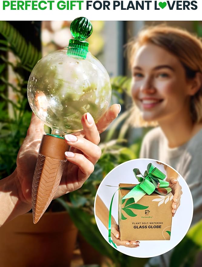 16 Oz Plant Watering Globes for Indoor Plants with Terracotta Self Watering Planter Insert - Premium XL Glass Hand-Blown Globe - Automatic Indoor Planter Waterer, Gift Idea for Gardeners [1, Clear]