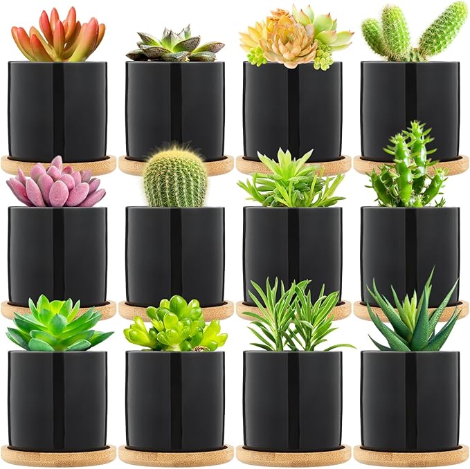 Cindeer 12 Pack Small Succulent Plants Pots 3 Inch Ceramic Flower Planter Pot and Bamboo Tray with Drainage Hole for Succulents Cactus Indoor Garden Decorations, Plant Not Included(Black)