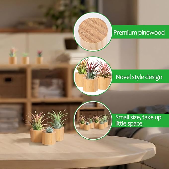 Bigmeta 6 Pcs Wood Air Plant Holder - 1.2" Rustic Style Airplant Display Stands for Women Gifts
