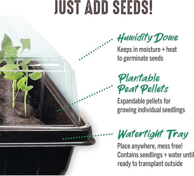 Jiffy Seed Starting Tray Kit - 36 Cell Seedling Tray, Portable - 11 x 11 x 4.25 in - Plastic