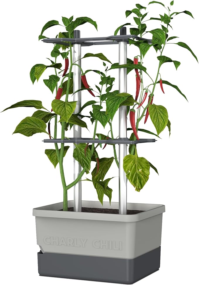 BUZZY Seeds Charly Chili Self-Watering Planter with Vertical Trellis – 1.2 Gal Reservoir, Large Capacity Planter for Chili Peppers, Bell Peppers & Eggplants (Grey)