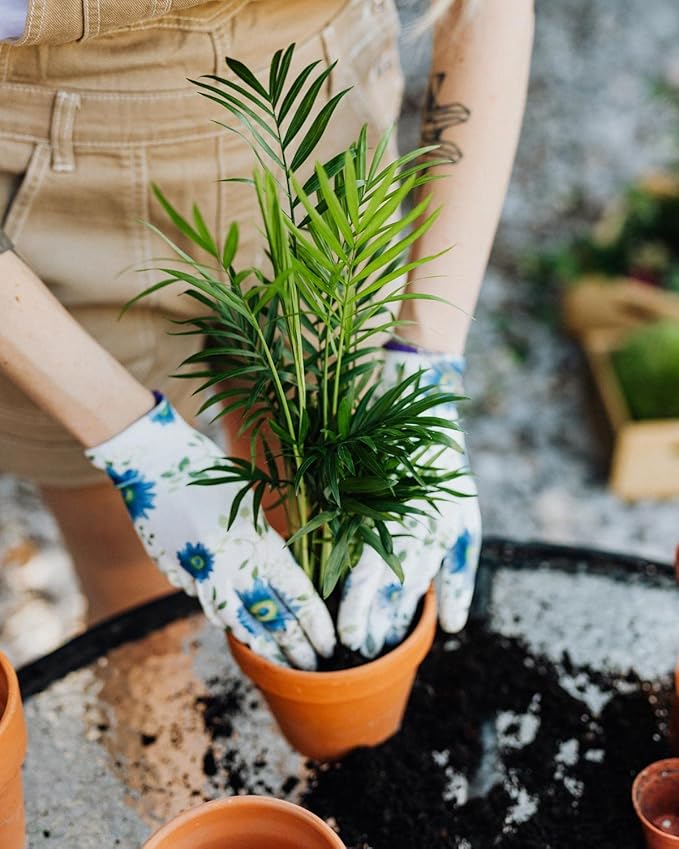 GARDENERA Palm Tree Potting Mix - The Ultimate Soil for Strong and Healthy Palms - Top Choice for Palm Tree Growers [4 Quart Bag]