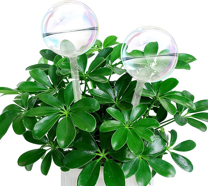 Self Watering Globes, Glass Rainbow Plant Watering Globes, Self Watering Planter Insert for Indoor & Outdoor Potted, Self Watering Planter Insert Spikes Devices for Everyday or Vacation Use, 2 Pack