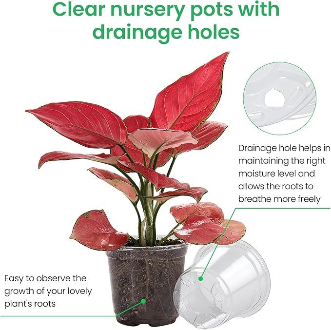Bluepro 36 Packs 7/5/4/3.5 Inch Reinforced Clear Nursery Pots with Drainage Hole, Transparent Variety Pack Plastic Plant Pot Seedling Planter for Vegetable Propagation, Root Cutting, Seed Starting
