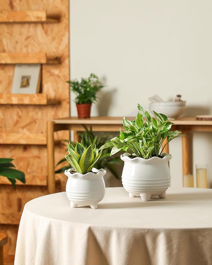 Fayoula Ceramic Planter, 2 Piece Ceramic Planter Set with Drainage Hole for Home and Office, Indoor Plant Potting, Suitable for Succulents, Bonsai, Snake Grass and Money Tree, etc. (White)