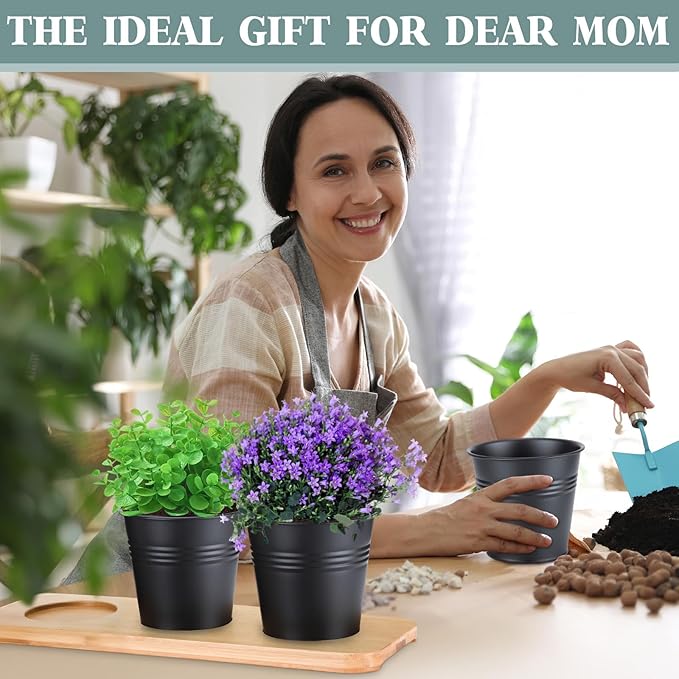 LemonRoad 6 Pcs Indoor Herb Planter Window Herb Pots for Kitchen with Drainage Hole and Bamboo Tray Farmhouse Metal Garden Planter Pot with DIY Label Mom Plant Gift(Black,Round)