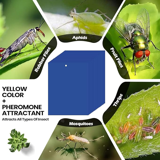 Qualirey 100 Pcs 6 x 8 Inch Sticky Traps for Plant Double Sided Sticky Trap for Gnats with Twist Ties Fly Traps for Fruit Insect Fungus Bugs Indoor Outdoor (Blue)