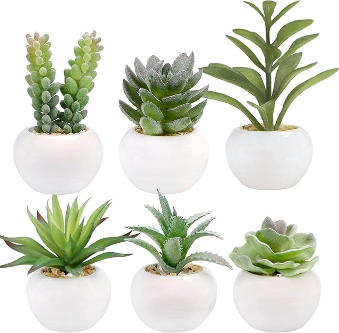 GREENTIME 6 Pcs Mini Artificial Succulents Plants in Ceramic Pots Small Fake Succulent Faux Plant Indoor Decor Bedroom Desk Bathroom Office Living Room Table Shelf Home Decoration Green White