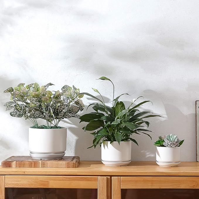 Yishang Succulent Plant Pots,6.7+5.3+4.1 in Glazed Ceramic Planters with Connected Saucers, Round Modern Ceramic Flower pots - Small to Large Sized Plant pots for All House Plants(Matte White)