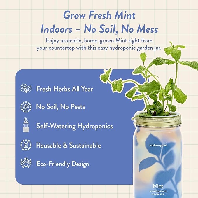 Modern Sprout Mason Garden Jar - Self-Watering Hydroponics Growing System Kit with Organic Herb Seeds - Jar Planter for Indoor Herb Garden - Seed Starter Kit - Home Decor & Gifting - Mint