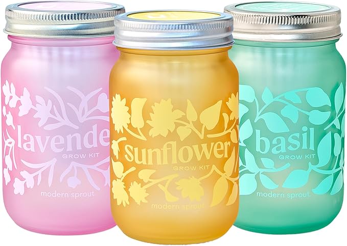 Modern Sprout Mason Garden Jar -Self-Watering Hydroponics Growing System Kit w/Organic Herb Seeds - Jar Planter for Indoor Herb Garden -Seed Starter Kit Basil+Lavender+Sunflower