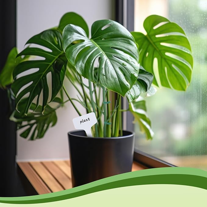 5 Pack Stackable Monstera Support Twig Plant Stakes, Plant Support Stakes for Indoor Outdoor Plants Holder Sticks for Climbing Plants Monstera Pothos Philodendron