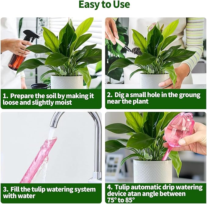 TJE Self Watering Glass Globes for Plants - Automatic Plant Waterer Bulbs with Rainbow Colors, Indoor/Outdoor Drip Irrigation Device for Vacation (Champagne, Pink, Purple, Clear)