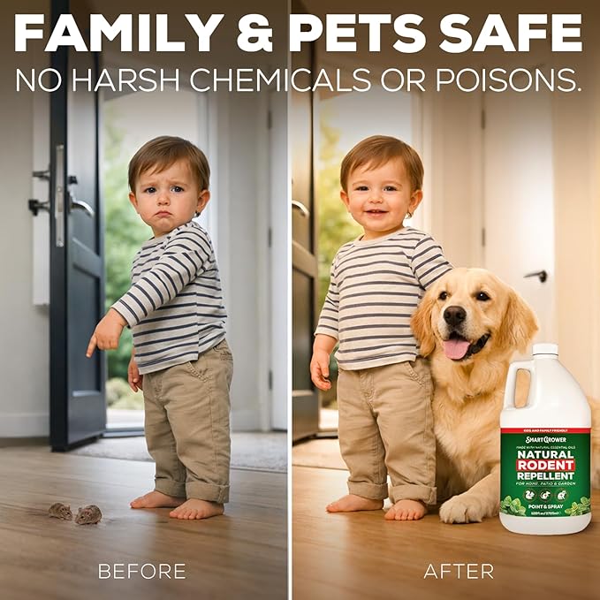 Smart Grower Peppermint Oil Spray for Rodents – Maximum Strength Ready to Use Peppermint Spray for Rodent, Mice, Squirrels – Indoor, Outdoor & Car Engine Protection – 128 oz