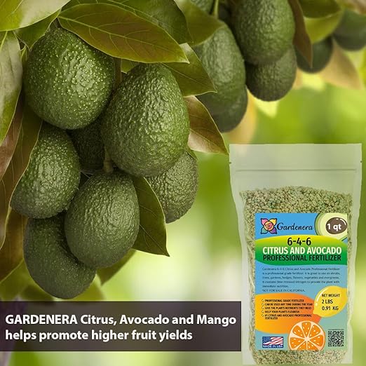 𝐁𝐄𝐒𝐓𝐒𝐄𝐋𝐋𝐄𝐑 6-4-6 Avocado Citrus Tree Plant Food for Outdoor/Indoor Gardening | Quick-Release Nitrogen Fertilizer | Orange, Lime, Avocado and Lemon Tree Fertilizer (4 Quarts)