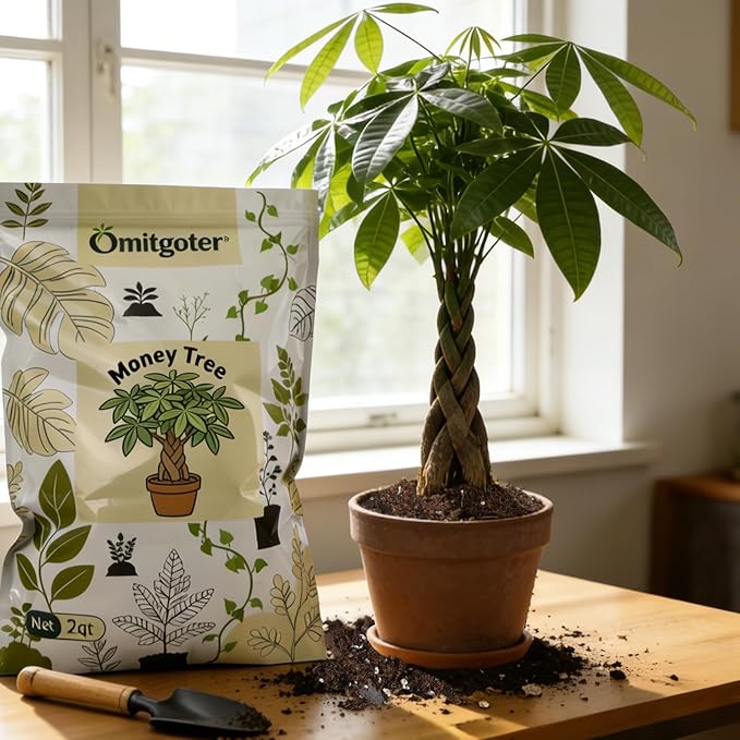 All-Natural Money Tree Soil & Indoor Potting Mix 1QT- Drainage-Enhanced Plant Soil for Healthy Indoor Plants