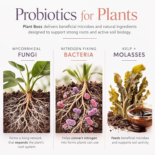 Plant Boss Mycorrhizal Fungi Root Booster – Premium Mycorrhizae for Houseplants, Flowers & Garden Plants – Improves Root Growth, Nutrient Uptake & Plant Health – 4 oz