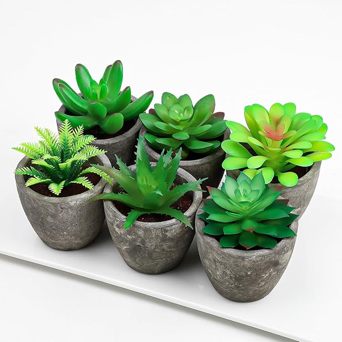 Succulents Plants Artificial Set of 6 Small Realistic Fake Succulent Plant in Pots Realistic Faux Greenery Plants Potted for Home Office Desk Indoor Bedroom Living Room Decoration
