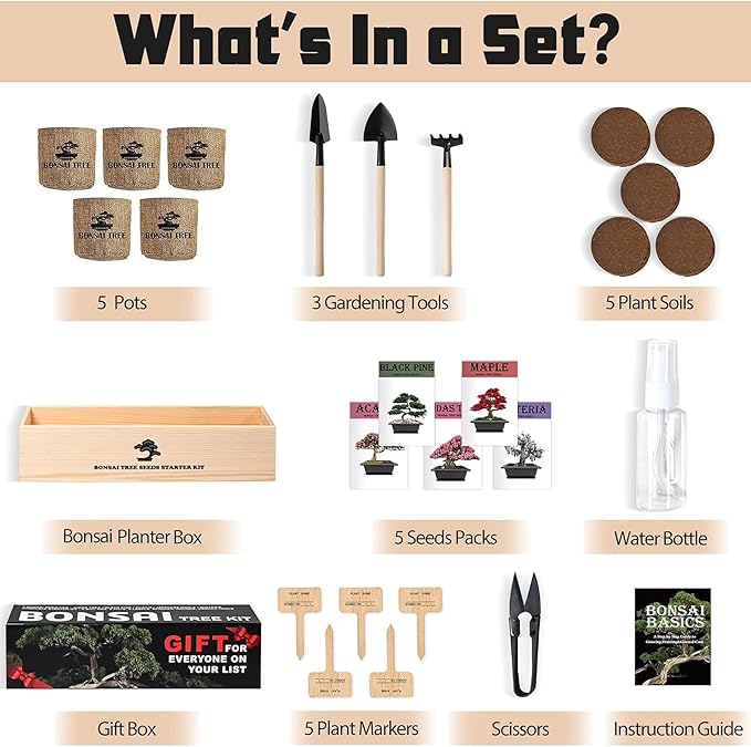 Indoor Bonsai Garden Starter Kit, 5 Seeds Growing into Red Maple, Wisteria, Black Pine, Judas Tree, Acacia, Including Complete Gardening Planters & A Planter Box for Women