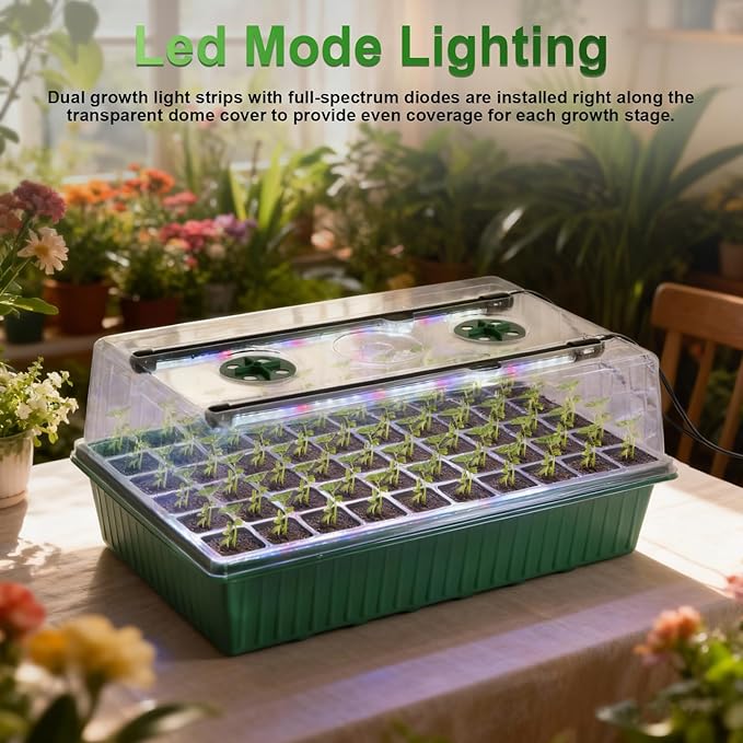 TONYFUL Seed Starter Tray with Grow Light, 60-Cell Seed Starter Kit with 4.07” Humidity Dome, Indoor Seedling Starter Tray, Seed Starting Tray for Plant Germination, Seeds Growing