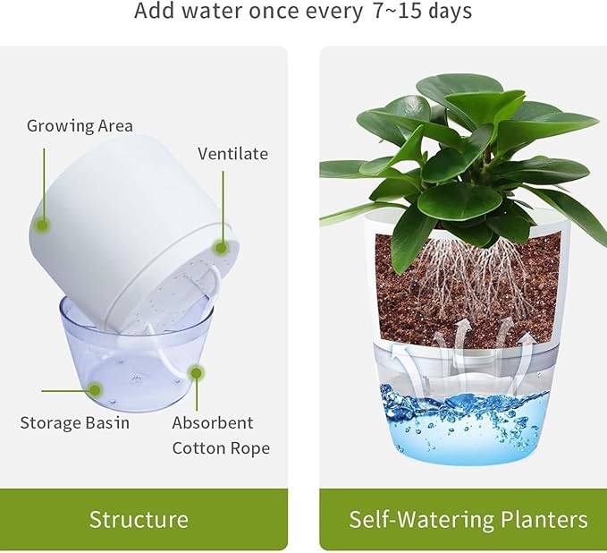 Self-Watering Planters, Plant Waterer for Indoor Outdoor Use Self Watering Plant Pot for Herbs Flowers Succulents, 2 Pcs (White, Medium)
