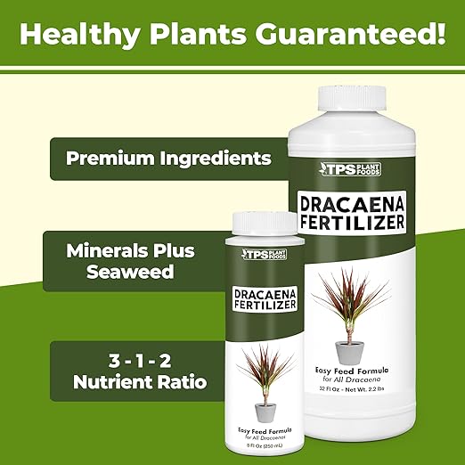 Dracaena Fertilizer – Liquid Plant Food for Rich Green Leaves & Strong Cane Growth, 8 oz