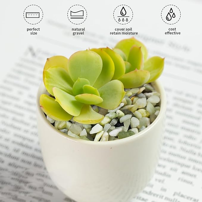 FANTIAN 2 lbs Jade Rocks for Plants Indoor, 1/4 inch Small Pebbles for Plants, Decorative Rocks for Succulents Cactus Vases Landscaping Drainage and Outdoor Garden Rocks