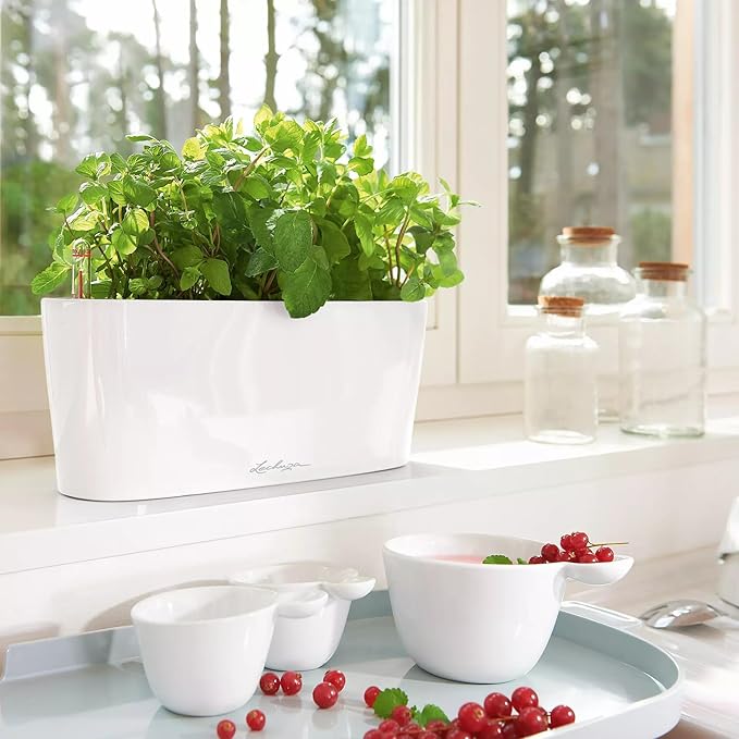 Delta 10 Cream White High Gloss, Self-Watering Planter Indoor, H5.1 L11.8 W4.3 in