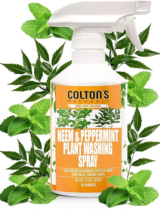 Plant Wash Spray – Neem Oil & Peppermint Oil Formula – Cleans & ConditionsLeaves, Removes Dust & Residue – Indoor & Outdoor Plant Care, Leaf Cleaner for Healthy, Vibrant Foliage Ready to use Spray