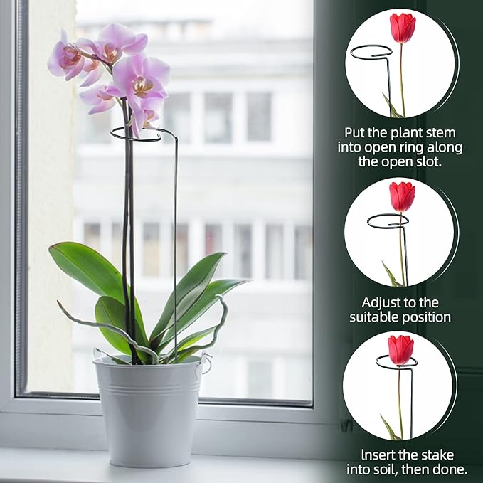 Green Metal Plants Support Stakes (Pack of 8), Garden Single Stem Plant Support Rod and Ring with 10 PCS Plant Clips, Plant Support and Clips Set - for Amaryllis, Rose, Tomato Seedling, Sapling