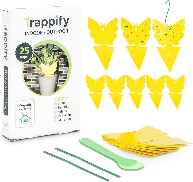 Trappify Sticky Gnat Traps for House Indoor - Yellow Fruit Fly Traps for Indoors | Outdoor Plants | Insect Catcher for White Flies, Mosquitos, Fungus Gnats | Disposable Glue Fly Trap Indoor (25 Pack)