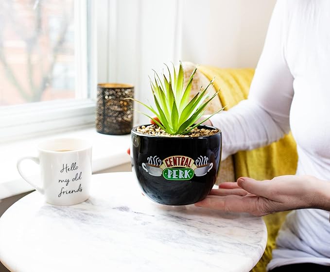 Silver Buffalo Friends Central Perk Logo Decorative Artificial Faux Greenery Plant in Ceramic