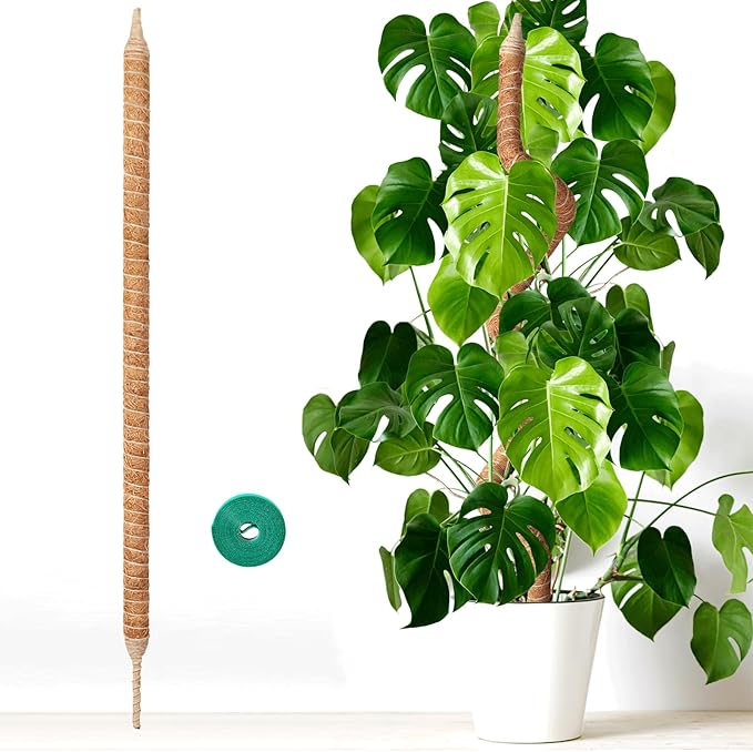 60in Heavy Duty Moss Pole for Large Plants, Plant Stakes for Indoor Plants Tall, Monstera, Pothos Vines, Philodendron, Fishbone Cactus & Indoor Tropical Houseplants, Coco Coir