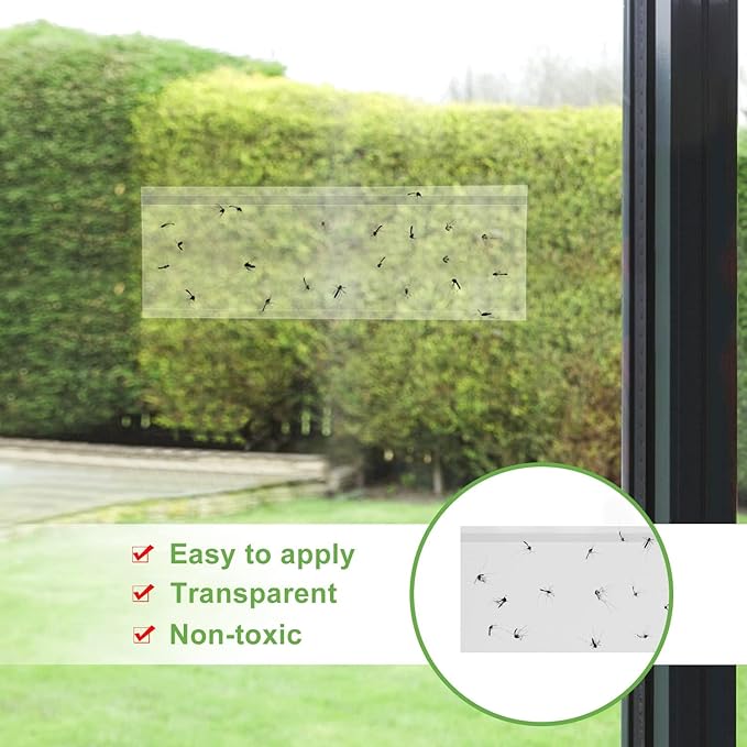 LFSYS 100 Pack Window Fly Trap, Fruit Fly Traps for Indoors, Fly Paper Sticky Strips, Fly Traps for Indoors Bug Catcher Clear