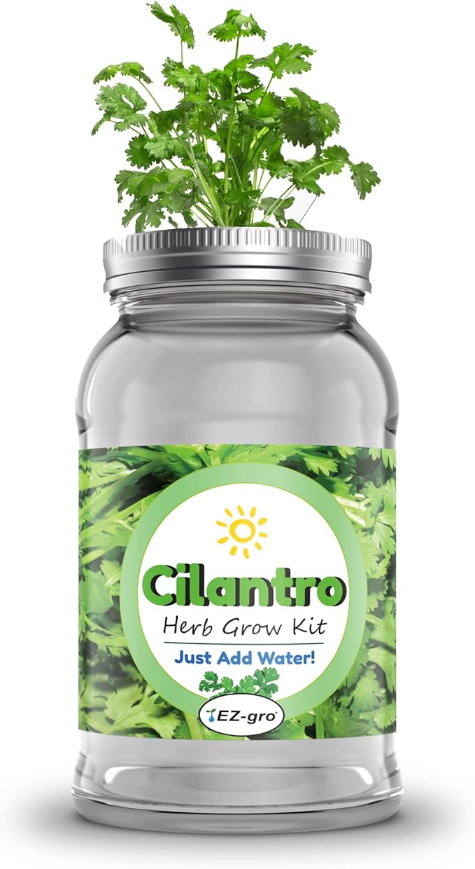 Lavender Mason Jar Grow Kit by EZ-gro | Our Mason Jar Indoor Herb Garden is Herbs in a Jar with Lavender Seeds | EZ-gro Lavender Plant Kit is a Hydroponic Gardening Systems (Cilantro)
