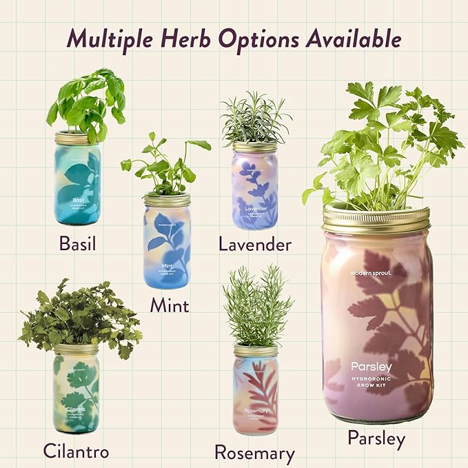 Modern Sprout Mason Garden Jar - Self-Watering Hydroponics Growing System Kit with Organic Herb Seeds - Jar Planter for Indoor Herb Garden - Seed Starter Kit - Home Decor & Gifting - Rosemary