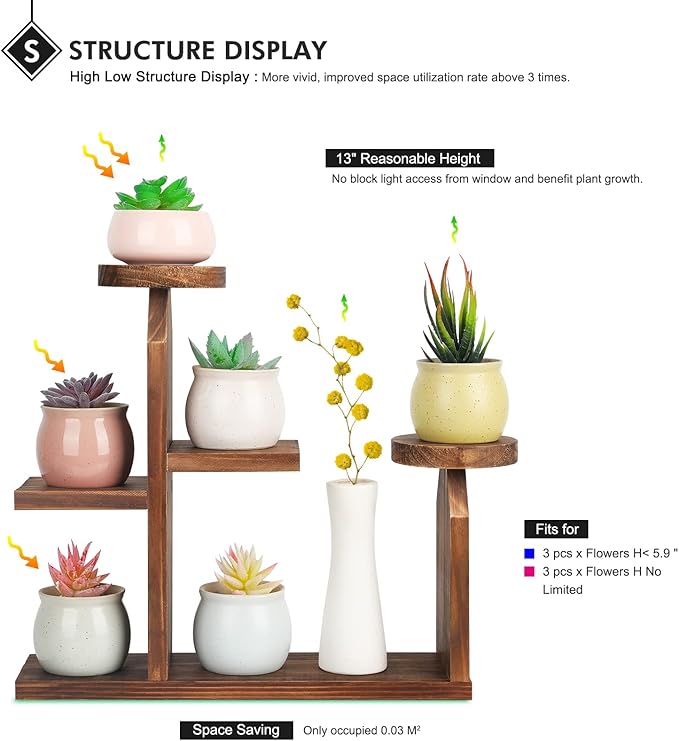 Wood Desktop Plant Stand - 5 Tier Tabletop Plant Shelf Windowsill Flower Shelf Holder Indoor, Small Succulent Herb Display Rack for Home Office Living Room Bedroom Decoration
