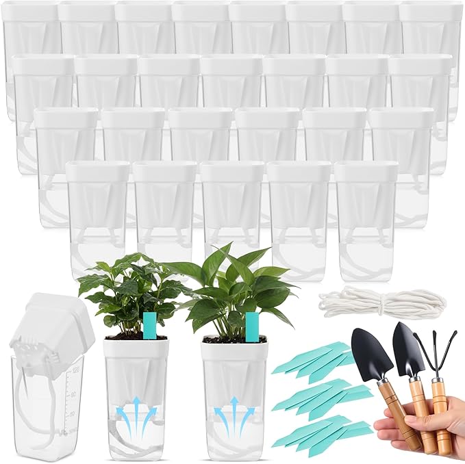 30 Pack 2" Small Self Watering Pots for Indoor Plants Clear Mini Self Watering Plant Pot with Water Level, Drainage Holes 30 Plastic Label 3 Planting Tools, Rope for Propagation Succulents