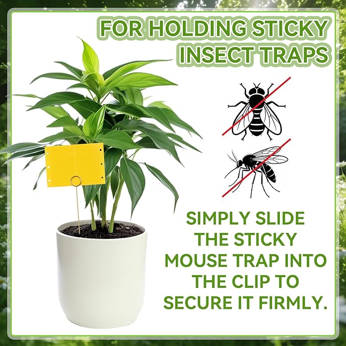 50 Pcs 12 Inch Dual-Sided Yellow Fruit Fly Traps Kit Includes 25 Sticky Cards and 25 Golden Long Wire Holders Effective Insect Gnat Trap Killer for Garden Plant Indoor Pest Control Fungus Gnats