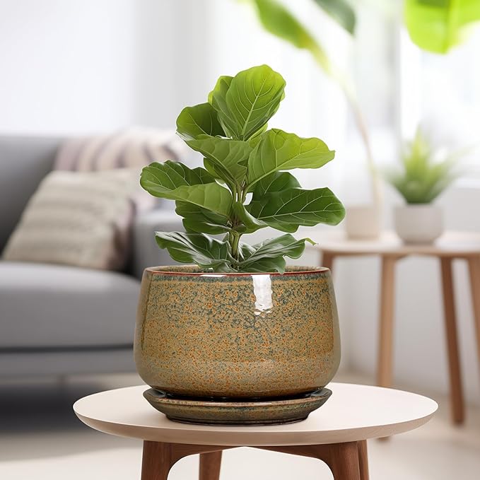 G EPGardening Ceramic Planters - 9 Inch Ceramic Pots for Plants Indoor Outdoor, Round Planter with Drainage and Saucer, Modern Indoor Flower Pots, House Room Decor, Gift for Women Men, Speckled Brown