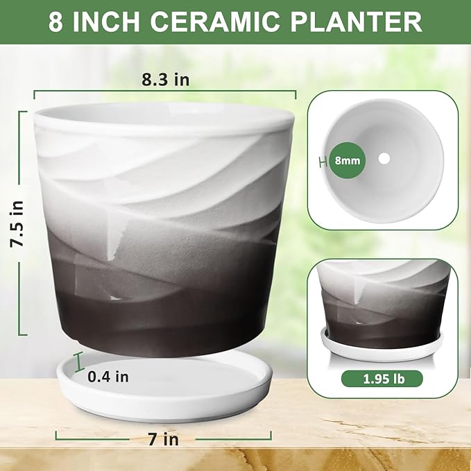 8 Inch Plant Pot,Ceramic Planter with Drainage and Saucer,Ceramic Pots for Plants,Indoor Plant pots,Ceramic Flower pots(Dark Gray+White)