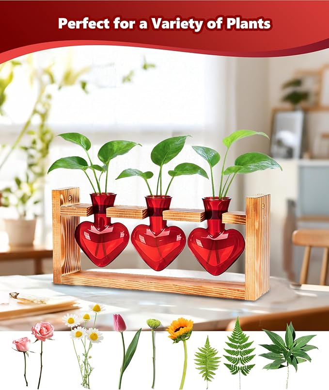 Nacome Plant Terrarium Propagation Stations: Mothers Day Gifts for Mom Plant Lovers Women Wife Daughter - 3 Bulb Glass Vase with Wooden Stand Tabletop for Hydroponics Garden Home Wall Decor(Red)