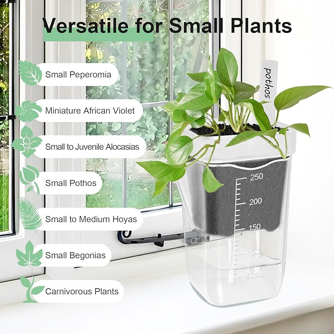 24 Pack 2" Small Self Watering Pots for Indoor Plants, Clear Plant Pots with Drainage & Water Level, Semi Hydroponic Pots for Propagation, African Violet, Cutting and Succulents