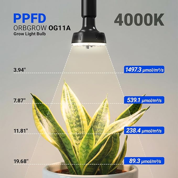 Barrina Orbgrow OG11A Grow Light Bulbs for Indoor Plants, Integrated Dimming & Timing, 4000K 33W(3 x 11W, 300 Watt Equiv), E26 Plant Light Bulb, Full Spectrum for Seeds and Greens, 3 Packs, Black