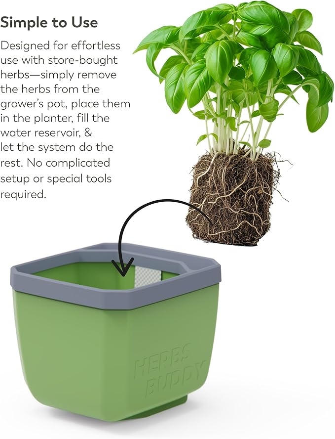 BUZZY Seeds Herb Buddy Self-Watering Herb Planter with Water Level Indicator – Indoor Kitchen & Windowsill Planter (Grey)